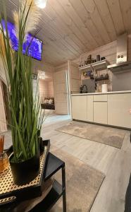 Køkken eller tekøkken på Obuoliu Sala COZY HOUSE on the Apple Island