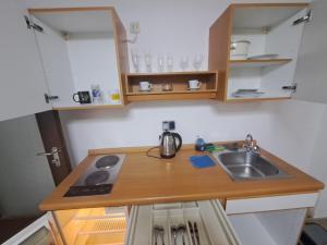 une petite cuisine avec un évier et un comptoir dans l'établissement MHm, à Passau 9 autres photos