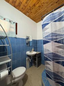 een blauwe en witte badkamer met een toilet en een wastafel bij Cabañas Mountain View in Paso Ancho