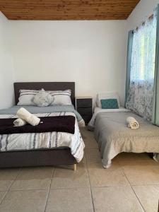 een slaapkamer met twee bedden en een raam bij Cabañas Mountain View in Paso Ancho