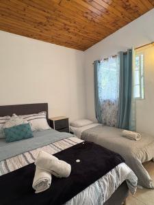 een slaapkamer met twee bedden en een raam bij Cabañas Mountain View in Paso Ancho