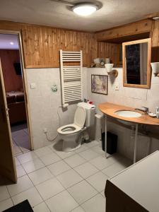 a bathroom with a toilet and a sink at Appartement Chalet Nerboux in Morillon