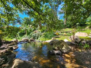 un ruisseau avec des rochers et des arbres dans l'établissement Hotel Selva Montana, à San Lorenzo