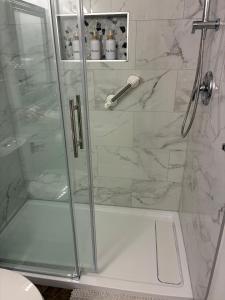 Memory Lane Guest Suite في سووك: دش مع باب زجاجي في الحمام