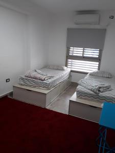 two beds in a room with a red carpet at CASA CON PILETA EN EL CENTRO de CORRIENTES in Corrientes