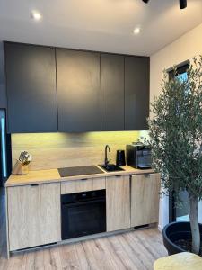 eine Küche mit Holzschränken und einer Spüle in der Unterkunft Stodoła Parysa 