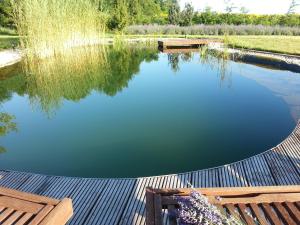 Příroda nedaleko bed and breakfast