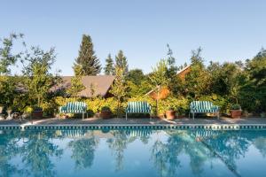 une piscine avec deux chaises longues et des arbres dans l'établissement Le Petit Pali St Helena, à St. Helena