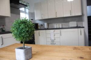 Kuchyň nebo kuchyňský kout v ubytování SHM Stays NECAirport M6 Free Parking Available + 33 fotografií