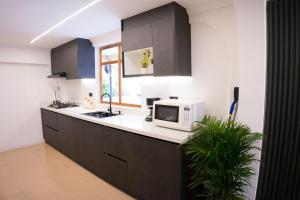 eine Küche mit einer Spüle und einer Mikrowelle auf der Theke in der Unterkunft beautiful and comfortable suit in Cuenca