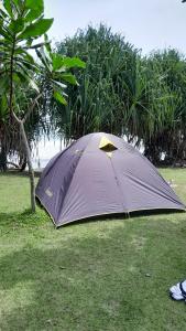 En have udenfor Tenda Reguler Pantai Madasari