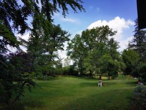 een persoon in een grasveld met bomen bij Farmhouse for arrival in Lütjenwestedt