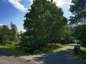 een grote boom aan de kant van een weg bij Farmhouse for arrival in Lütjenwestedt