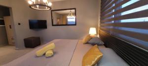 Et tv og/eller underholdning på Luxurious Villa Flic en Flac