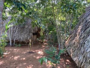 a hut with a straw roof in a forest at Eco Farmstay near Corozal Belize Quiet Nature Stay in Corozal