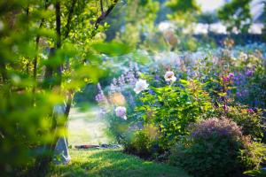 Zahrada ubytování Yufuin Hotel Mori-no-Terrace