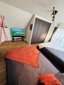 a bedroom with a bed and a tv in a room at Shimokitazawa Cozy Apartment 401 in Tokyo