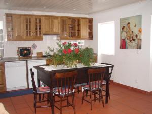 Virtuvė arba virtuvėlė apgyvendinimo įstaigoje Quinta da Abegoaria