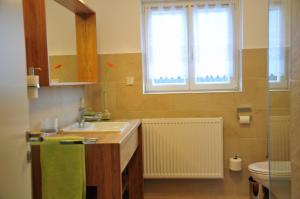a bathroom with a sink and a toilet and a window at Ferienwohnung Noviomagus in Neumagen-Dhron