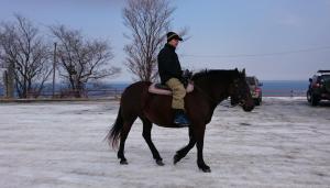 Ein Mann reitet auf einem braunen Pferd in der Unterkunft Sea Side Stay / Vacation STAY 1785 in Abashiri
