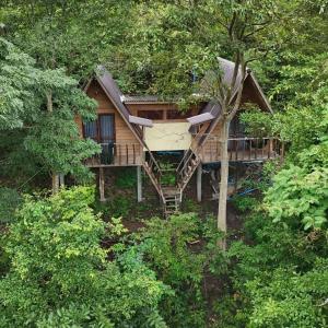 een boomhut midden in het bos bij Fandee Island, Lake & Treehouses - Tad Lo, Boloven Loop Pakse in Ban Kiangtat +71 foto's