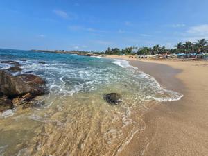 Naturlandskabet i nærheden af pensionatet