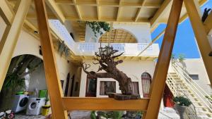 En balkon eller terrasse på Mộc House + 10 billeder