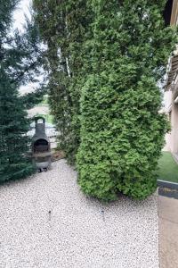 En have udenfor Hill top apartment