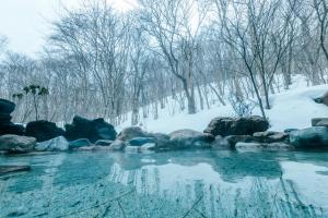 een beek met sneeuw op de grond en bomen bij Otaru Asari Classe Hotel in Otaru