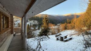 Naturlandskabet i nærheden af feriehuset