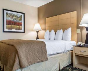 ein Hotelzimmer mit einem großen Bett mit weißen Kissen in der Unterkunft Quality Inn Geneseo in Geneseo + 92 Fotos