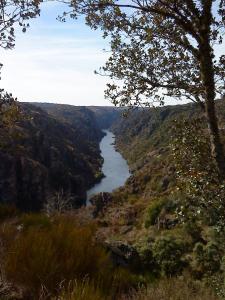 Φωτογραφία από το άλμπουμ του Douro Natura σε Bemposta +138 φωτογραφίες