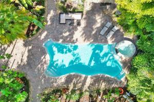 an overhead view of a swimming pool in a yard at Tropical Oasis Studio w Pool in Fort Lauderdale