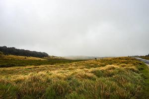Naturlandskabet i nærheden af lodgen + 16 billeder