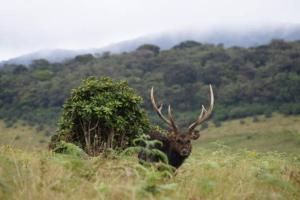 Naturlandskabet i nærheden af lodgen