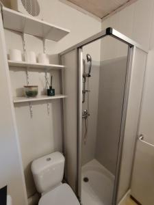 een badkamer met een douche en een wit toilet bij Appartement type chalet savoyard cosy in Aillon-le-Jeune +6 foto's