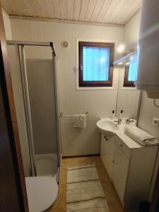 een badkamer met douche, wastafel en toilet bij Appartement type chalet savoyard cosy in Aillon-le-Jeune