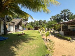 a yard with a house and a palm tree at Kiteclub in Kalpitiya