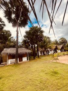 a house with a straw roof and a palm tree at Kiteclub in Kalpitiya