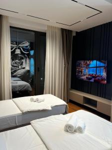 une chambre d'hôtel avec deux lits et une télévision à écran plat dans l'établissement Planet Lux Apartment with secured parking In the garage, à Niš