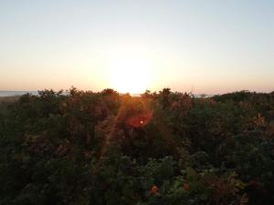 Naturlandskabet i nærheden af feriehuset + 23 billeder