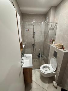 een badkamer met een douche, een toilet en een wastafel bij Apartman Dan i Noć in Divčibare