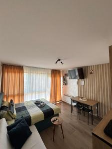 een hotelkamer met een bed en een bureau bij Apartman Dan i Noć in Divčibare