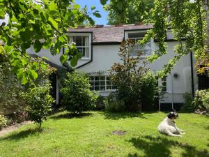 Zahrada ubytování Country cottage in town