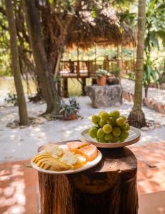 two plates of fruit on a tree stump at Hang Lan Ecolodge in Ninh Binh