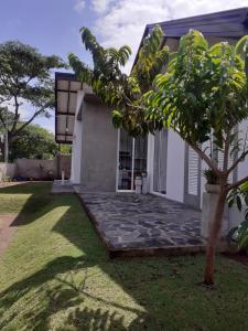 a house with a palm tree in front of it at Sathmani in Pallekele Kadawidiya