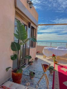 una pianta seduta su un balcone con vista sull'oceano di Shams House a Imsouane