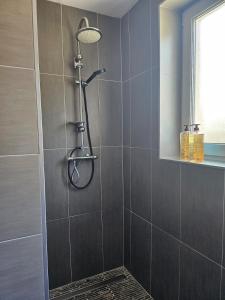 a shower with a shower head in a bathroom at Welcome to Angèle 'Homes 2 in Niederbronn-les-Bains +19 photos