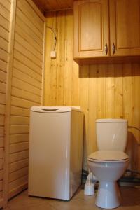 KamesznicaにあるVilla Victoriaの木製の壁のバスルーム(トイレ付)