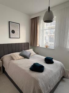 ein Schlafzimmer mit einem Bett mit zwei blauen Kissen darauf in der Unterkunft Apartamenty Wilenska in Słupsk